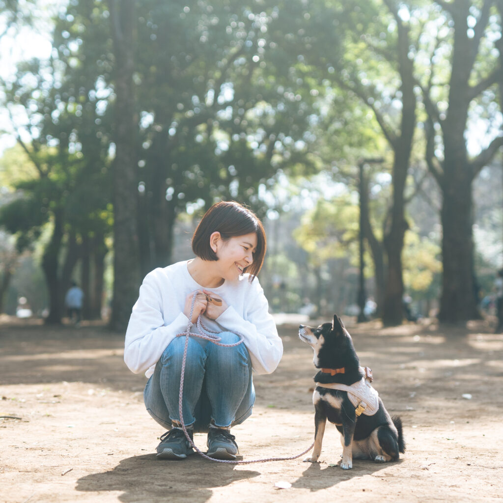 柴犬,しつけ,トレーニング,犬の保育園,犬の幼稚園,HOT,プレイタイム,子犬,お悩み,相談,カウンセリング