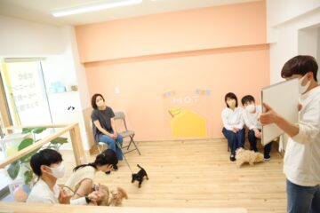 パピー教室，パピー，子犬，犬，犬の保育園