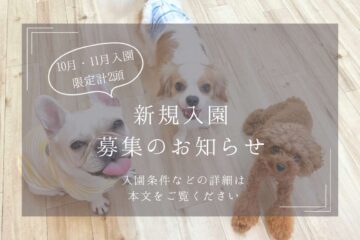 三鷹市,犬の幼稚園・保育園,新規入園,パピー,子犬