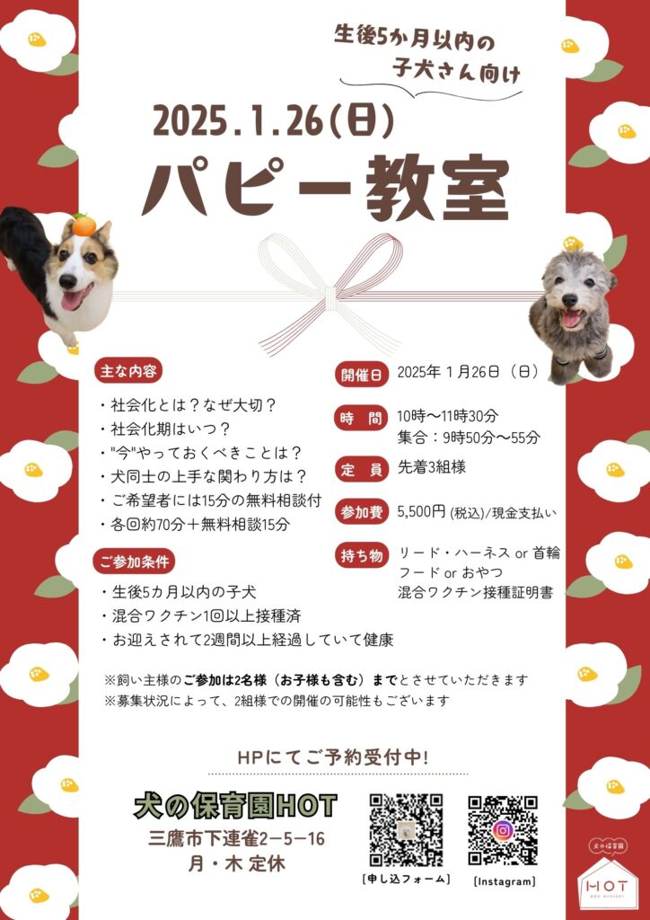 パピー教室,パピーパーティー,子犬,犬の幼稚園,三鷹,調布,杉並,西東京,練馬,小金井,吉祥寺,武蔵野市,府中,ホット,ほっと,イベント