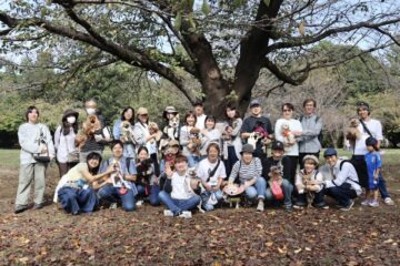 犬の保育園，犬の幼稚園，三鷹市，武蔵野市，吉祥寺，犬，トレーナー，しつけ，パピー，子犬，イベント，井の頭公園