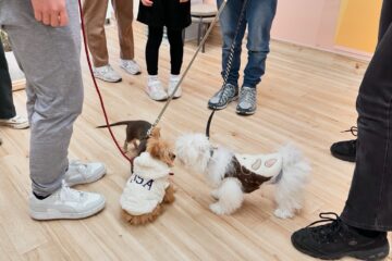 犬の保育園，犬の幼稚園，三鷹市，武蔵野市，吉祥寺，犬，トレーナー，しつけ，パピー，子犬，パピー教室