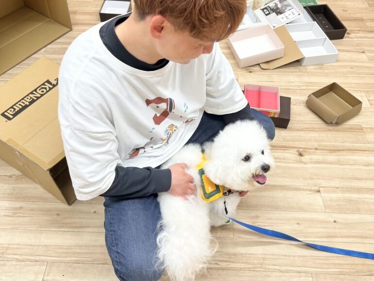 犬の保育園，犬の幼稚園，三鷹市，武蔵野市，吉祥寺，犬，トレーナー，しつけ，パピー，子犬