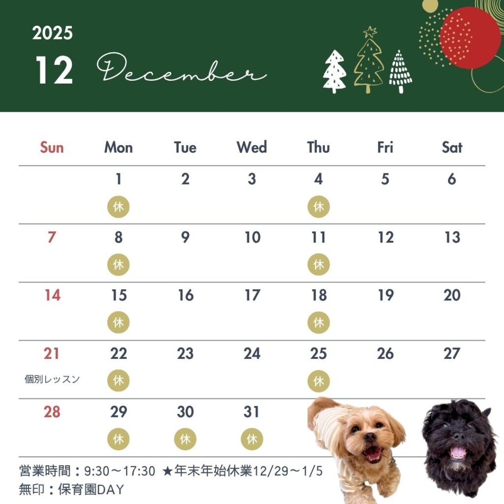 営業カレンダー,2025,12月,HOT,定休日